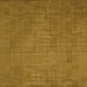Imagination Chartreuse – Eco