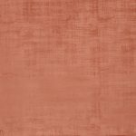 Imagination Apricot - Eco