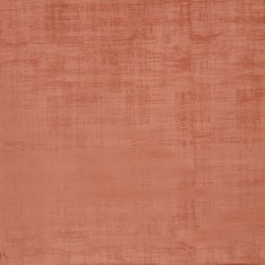 Imagination Apricot – Eco