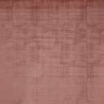 Imagination Peony - Eco