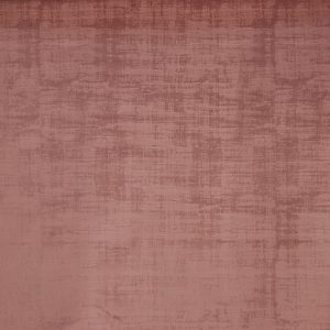 Imagination Peony – Eco