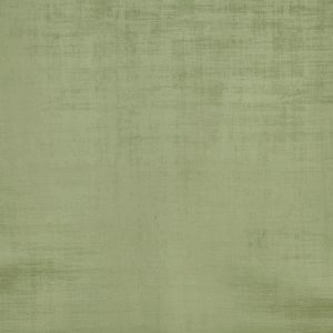 Imagination Pea – Eco