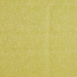 Spotlight Citron