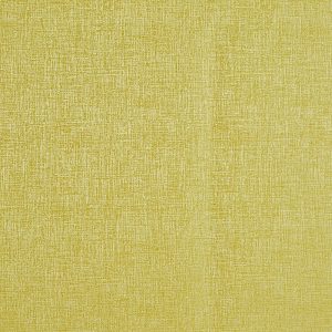 Spotlight Citron