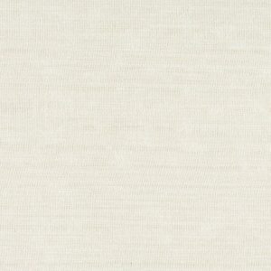 Alcor Canvas
