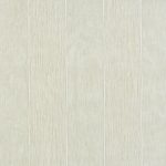 Delphinus Parchment