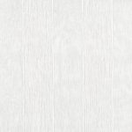 Delphinus Snow