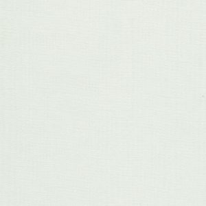 Mizar Canvas
