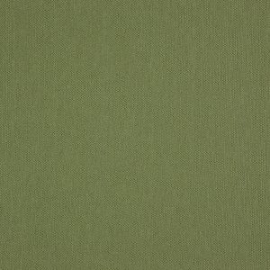 Helston Olive