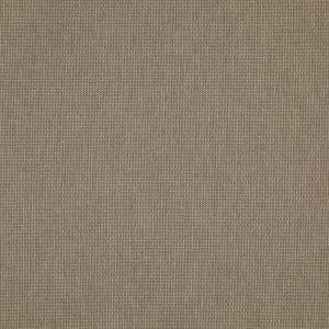 Penzance Taupe