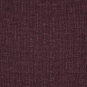 Penzance Mulberry