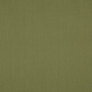 Penzance Olive