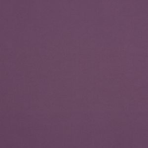 Calm Aubergine