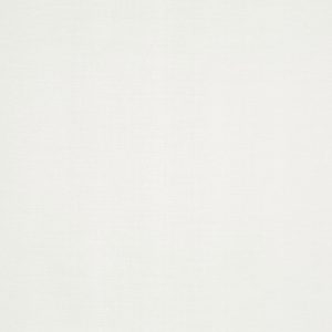 Tussah Ivory