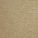 Tussah Bronze