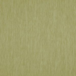 Madeira Olive
