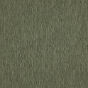 Madeira Moss