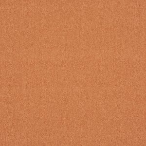 Dusk Tangerine