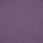 Dusk Heliotrope