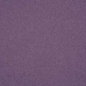 Dusk Heliotrope