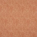 Muse Tangerine