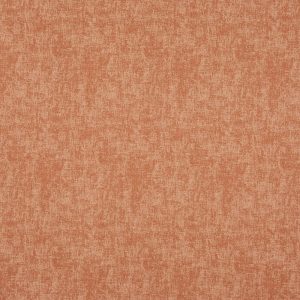 Muse Tangerine