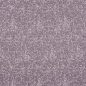 Muse Heliotrope