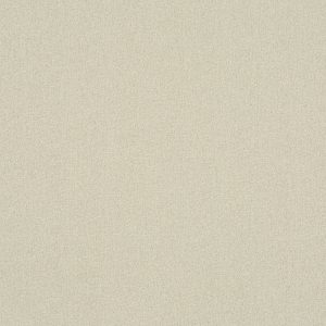 Trace Parchment