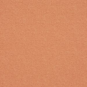 Trace Tangerine