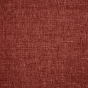 Iceland Chestnut