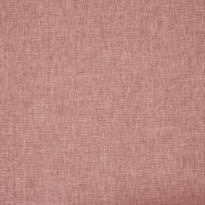 Iceland Pale Rosehip