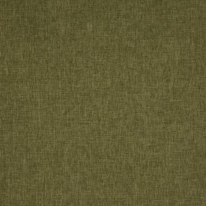 Iceland Olive