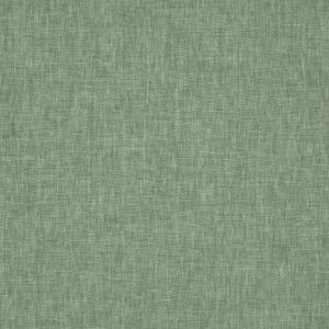Iceland Myrtle