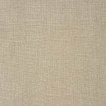 Concept Parchment