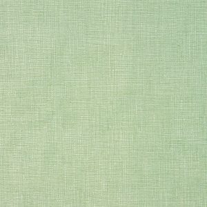 Concept Eucalyptus
