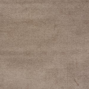 Bravo Flax
