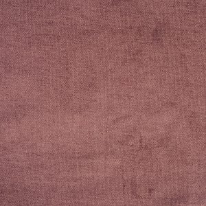 Bravo Dark Rose