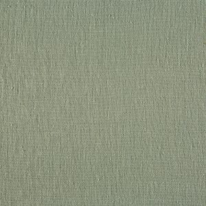Nordic Willow