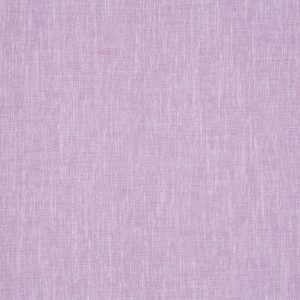 Kielder Lavender
