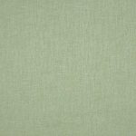 Nimbus Willow