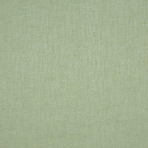 Nimbus Willow