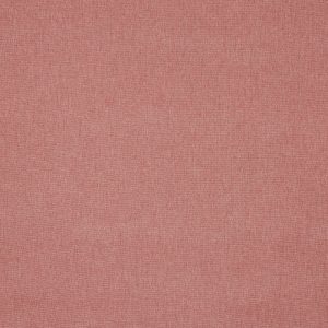Buxton Rose