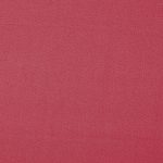 Style Raspberry