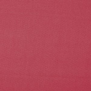 Style Raspberry