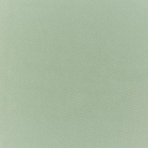 Style Green Tea