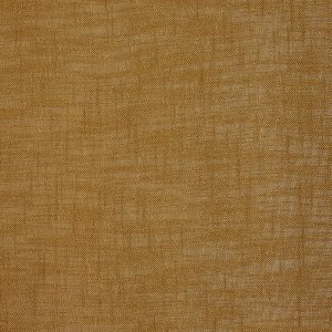Harmony Bronze