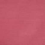 Snowdon Rose