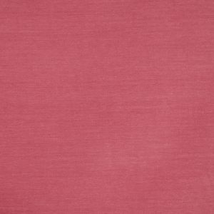 Snowdon Rose