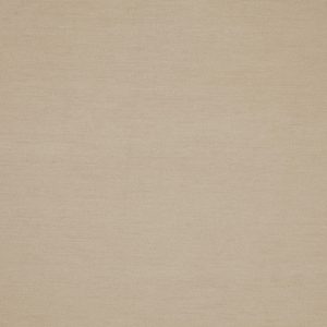 Snowdon Sandstone