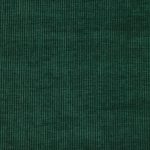Cord Spruce